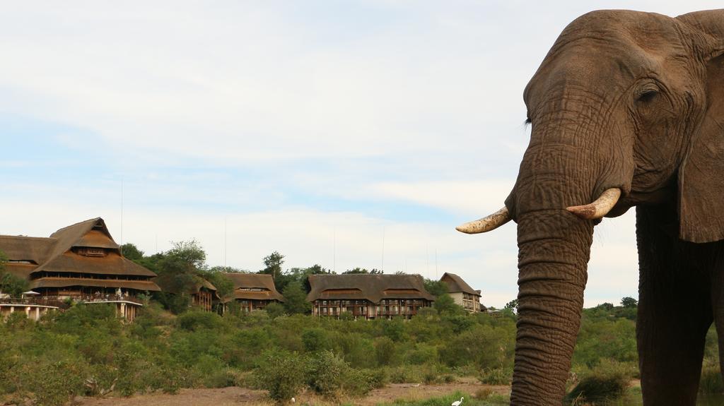 Victoria Falls Safari Suites Zewnętrze zdjęcie